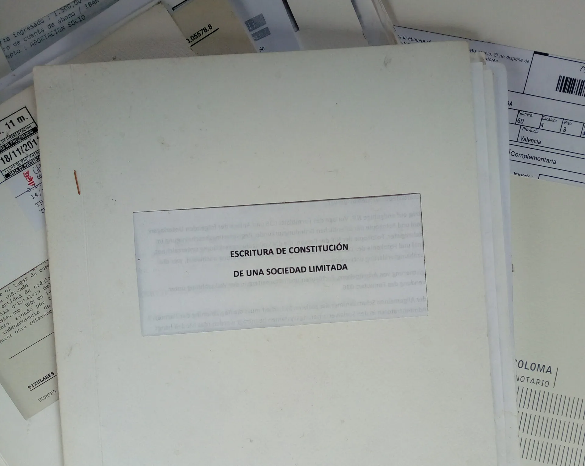 IMG_SL-en-constitucion-buena